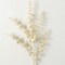 Sullivan's Eucalyptus Spray, Cream Faux Floral Stem for Crafting, Weddings, Home and Holiday Decoration, 22 Inch